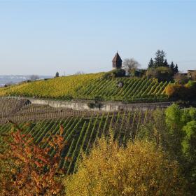 weinberg, uhlbach, stuttgart, ailenberg, turm, stuttgart, stuttgart, stuttgart, stuttgart, stuttgart